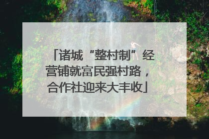 诸城“整村制”经营铺就富民强村路，合作社迎来大丰收