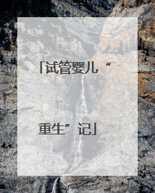 试管婴儿“重生”记