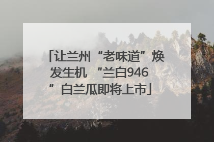 让兰州“老味道”焕发生机 “兰白946”白兰瓜即将上市