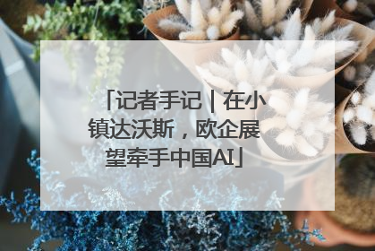 记者手记｜在小镇达沃斯，欧企展望牵手中国AI
