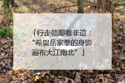 行走赣鄱看非遗：“希望岳家拳的身影遍布大江南北”