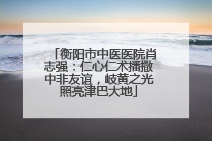 衡阳市中医医院肖志强：仁心仁术播撒中非友谊，岐黄之光照亮津巴大地