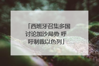 西班牙召集多国讨论加沙局势 呼吁制裁以色列