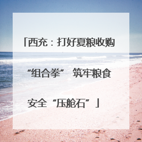 西充：打好夏粮收购“组合拳” 筑牢粮食安全“压舱石”