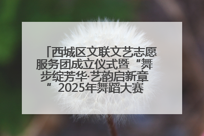 西城区文联文艺志愿服务团成立仪式暨“舞步绽芳华·艺韵启新章”2025年舞蹈大赛展演圆满举办
