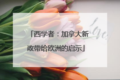 西学者：加拿大新政带给欧洲的启示