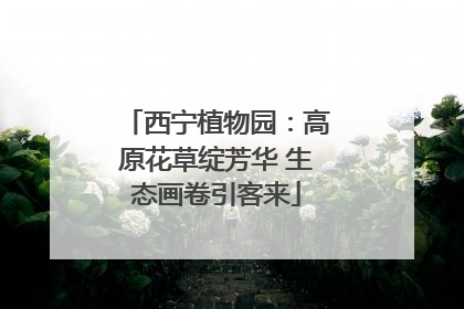 西宁植物园：高原花草绽芳华 生态画卷引客来