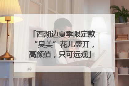 西湖边夏季限定款“臭美”花儿盛开，高颜值，只可远观