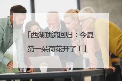 西湖顶流回归：今夏第一朵荷花开了！