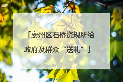 襄州区石桥资规所给政府及群众“送礼”