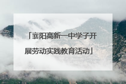 襄阳高新一中学子开展劳动实践教育活动