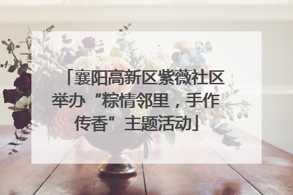 襄阳高新区紫薇社区举办“粽情邻里，手作传香”主题活动