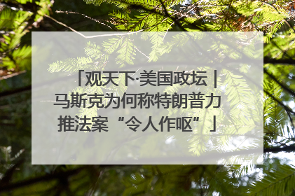 观天下·美国政坛｜马斯克为何称特朗普力推法案“令人作呕”