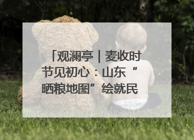 观澜亭｜麦收时节见初心：山东“晒粮地图”绘就民生温暖画卷