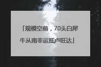规模空前，70头白犀牛从南非运抵卢旺达