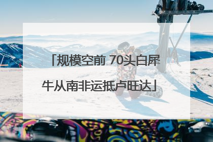 规模空前 70头白犀牛从南非运抵卢旺达