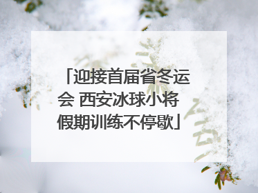 迎接首届省冬运会 西安冰球小将假期训练不停歇