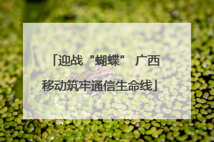 迎战“蝴蝶” 广西移动筑牢通信生命线