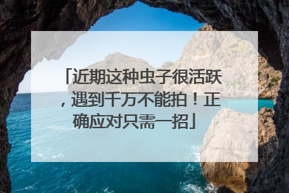 近期这种虫子很活跃，遇到千万不能拍！正确应对只需一招