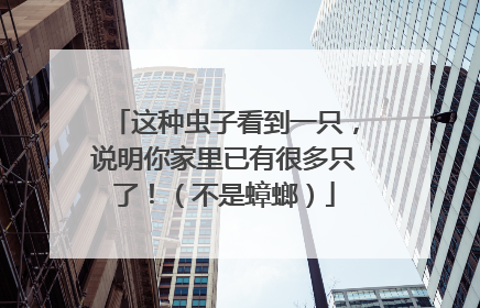 这种虫子看到一只，说明你家里已有很多只了！（不是蟑螂）