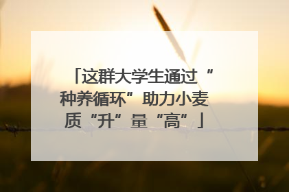 这群大学生通过“种养循环”助力小麦质“升”量“高”