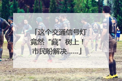 这个交通信号灯竟然“藏”树上！市民盼解决……