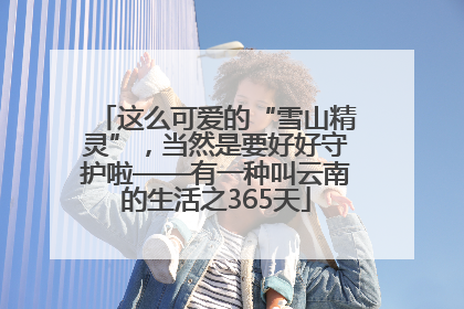 这么可爱的“雪山精灵”，当然是要好好守护啦——有一种叫云南的生活之365天