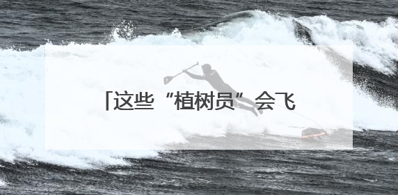 这些“植树员”会飞！河南今年已飞播造林13.63万亩