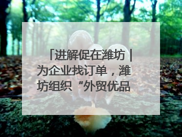 进解促在潍坊｜为企业找订单，潍坊组织“外贸优品进高校”活动