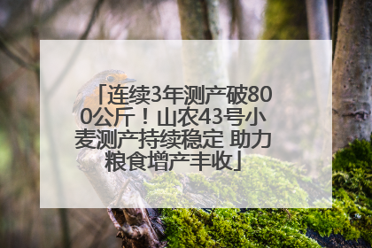 连续3年测产破800公斤！山农43号小麦测产持续稳定 助力粮食增产丰收
