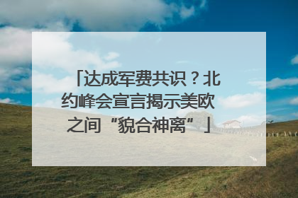 达成军费共识？北约峰会宣言揭示美欧之间“貌合神离”
