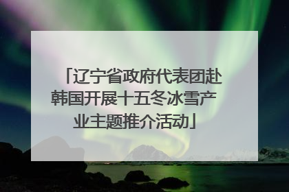 辽宁省政府代表团赴韩国开展十五冬冰雪产业主题推介活动