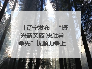 辽宁发布｜“振兴新突破 决胜勇争先”抚顺力争上半年地区生产总值增长7%左右