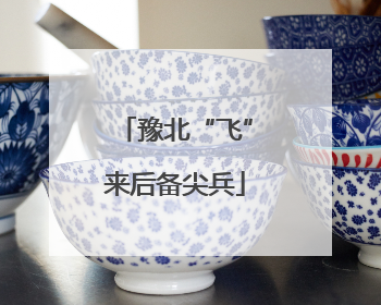 豫北“飞”来后备尖兵