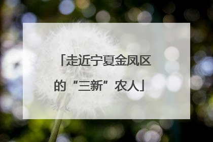 走近宁夏金凤区的“三新”农人