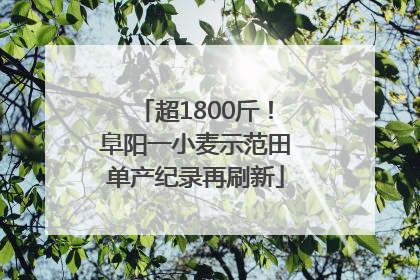 超1800斤！阜阳一小麦示范田单产纪录再刷新