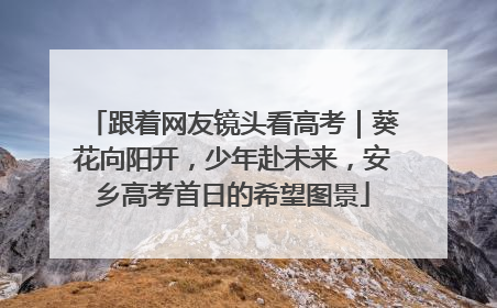 跟着网友镜头看高考｜葵花向阳开，少年赴未来，安乡高考首日的希望图景