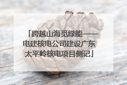 跨越山海觅绿能——电建核电公司建设广东太平岭核电项目侧记