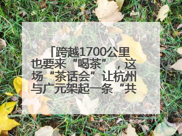 跨越1700公里也要来“喝茶”，这场“茶话会”让杭州与广元架起一条“共富之路”