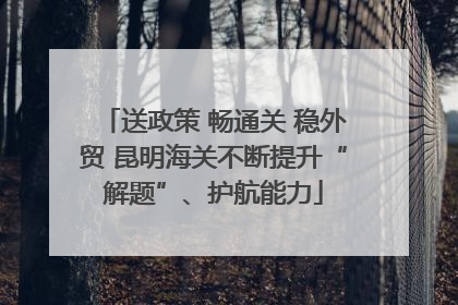 送政策 畅通关 稳外贸 昆明海关不断提升“解题”、护航能力