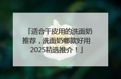适合干皮用的洗面奶推荐，洗面奶哪款好用2025精选推介！