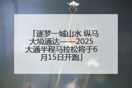 逐梦一城山水 纵马大境通达——2025大通半程马拉松将于6月15日开跑