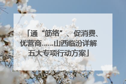 通“筋络”、促消费、优营商……山西临汾详解五大专项行动方案