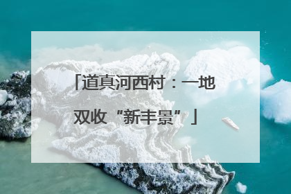 道真河西村：一地双收“新丰景”