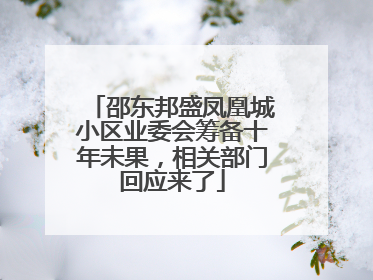 邵东邦盛凤凰城小区业委会筹备十年未果，相关部门回应来了