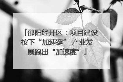 邵阳经开区：项目建设按下“加速键” 产业发展跑出“加速度”