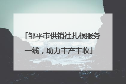 邹平市供销社扎根服务一线，助力丰产丰收