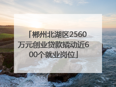 郴州北湖区2560万元创业贷款撬动近600个就业岗位