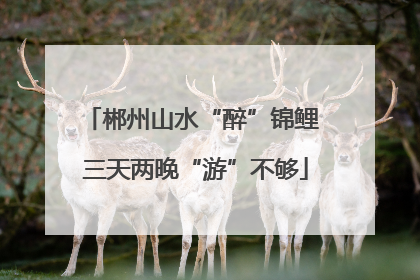 郴州山水“醉”锦鲤 三天两晚“游”不够