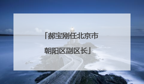 郝宝刚任北京市朝阳区副区长